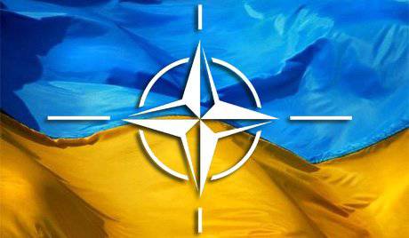 Небо Украины в 2012 году подарят ПВО НАТО в т.ч. германским Люфтваффе