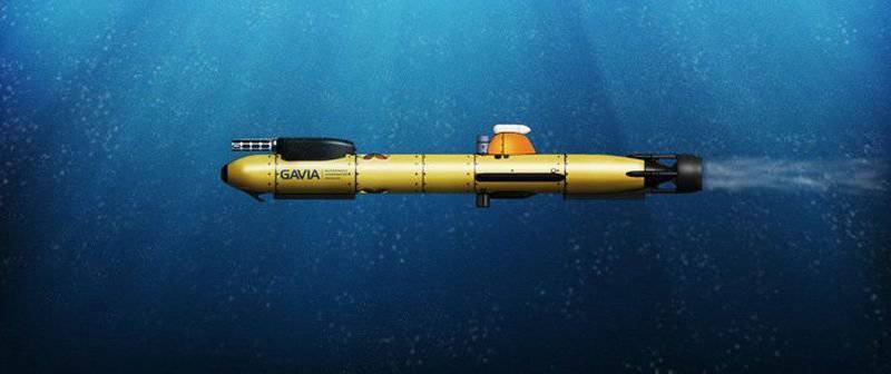 Российские моряки получают автономные необитаемые подводные аппараты Gavia