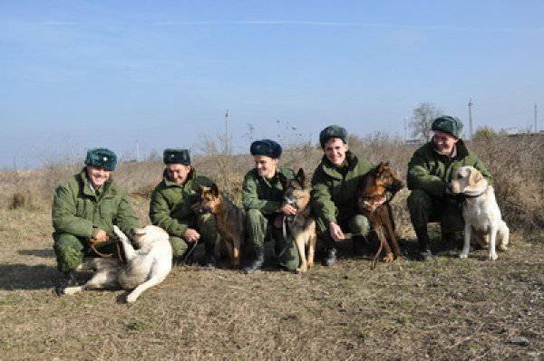 Хвостатые сапёры Хвостатые сапёры
