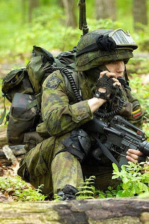 Только с помощью сил НАТО армия Литвы может быть спокойна за безопасность своей территории