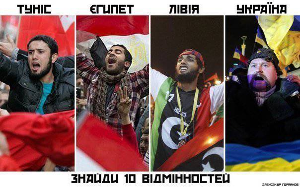 Евромайдан как продолжение арабской весны: возможности и риски переноса зарубежного опыта общественного развития в Россию