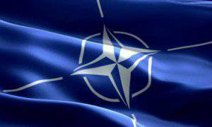 Украину посетили эксперты НАТО