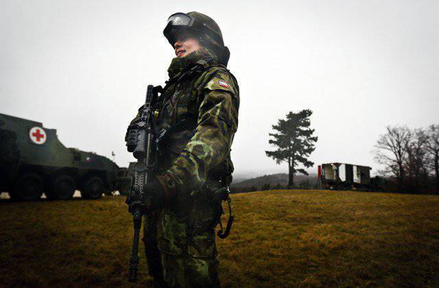 Чехия, Венгрия, Словакия: видимость армии
