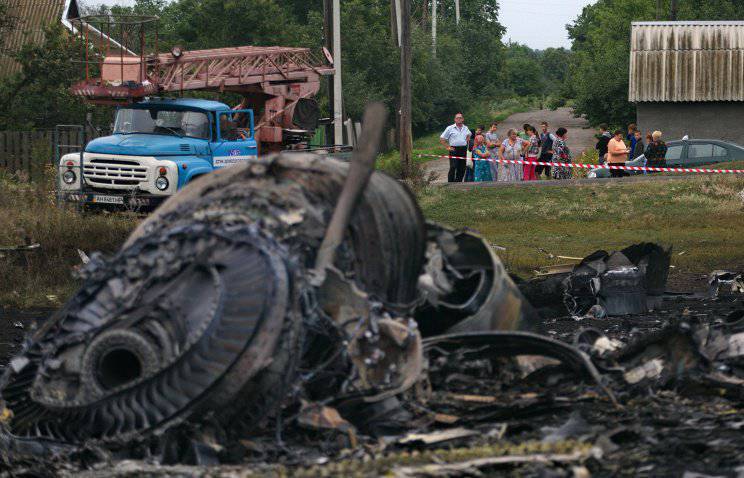 Нидерланды: Заявления киевских властей, что малазийский «Боинг» сбили ракетой, не соответствуют действительности