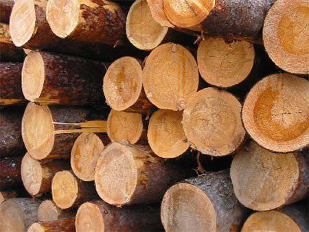 Нарочно не придумаешь: на Украине прошёл конкурс вальщиков леса в поддержку "АТО"