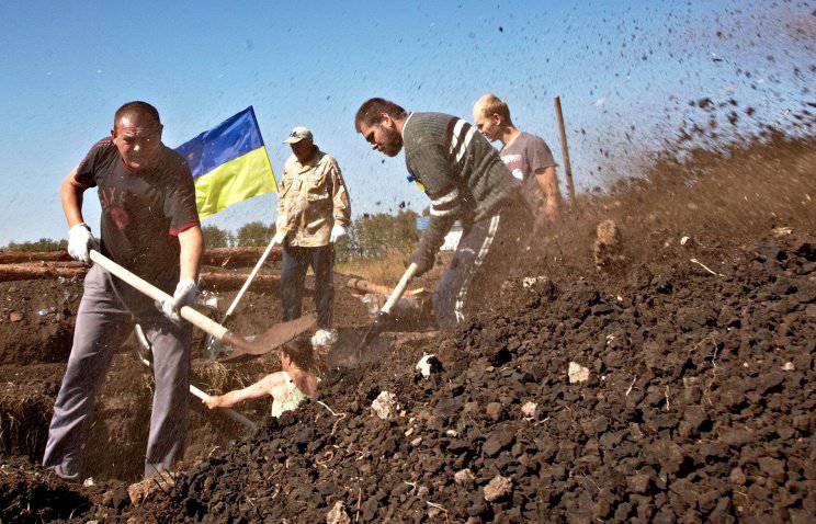 Украинская «стена» на границе может навредить экологии пяти российских регионов