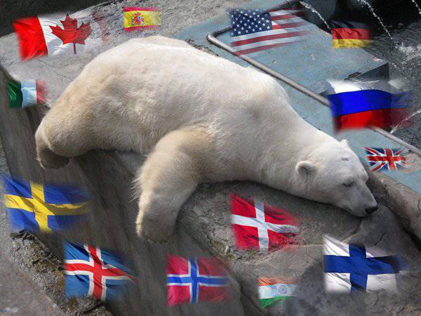 От Великобритании до Сингапура: как мир делит шкуру «арктического» медведя