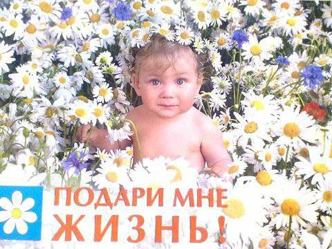 Низкая рождаемость – одна из ключевых проблем национальной безопасности современной России