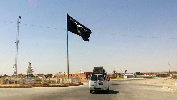 Джен Псаки: США потрясены сообщениями о жертвах бомбардировок города Ракка сирийскими ВВС