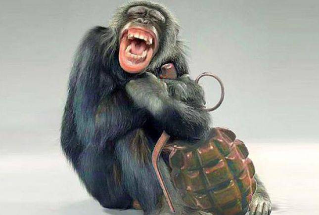 Бандеровец с ядерным реактором хуже обезьяны с гранатой