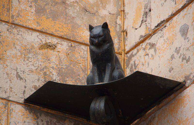 Картинки по запросу кошки ленинграда