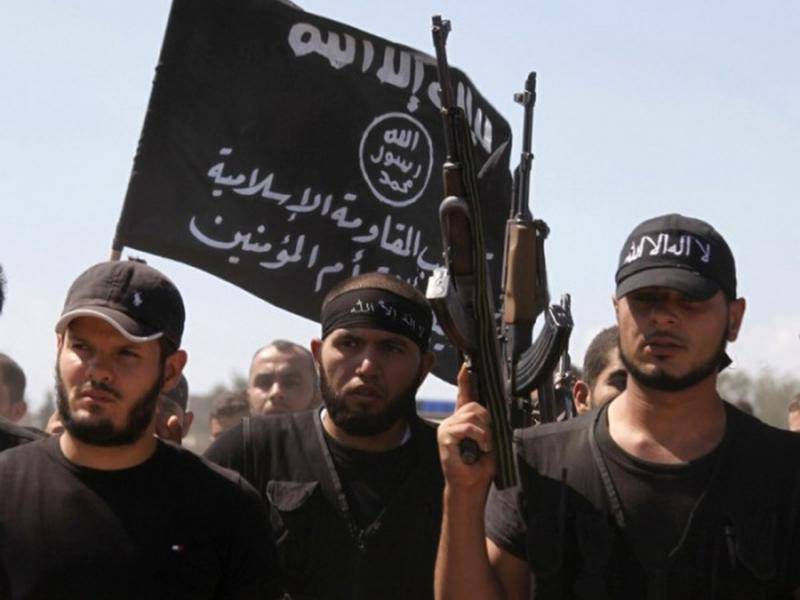 Надо ли переименовывать ИГИЛ в ДАИШ? (Опрос)