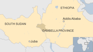 Резкое обострение ситуации на границе Эфиопии и Южного Судана