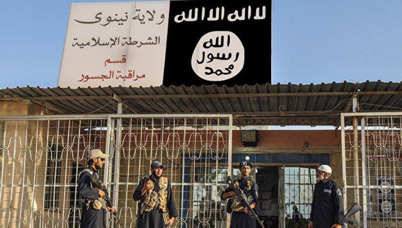 СМИ: пятеро командиров ИГ сбежали из иракской провинции, прихватив несколько миллионов «казённых» долларов
