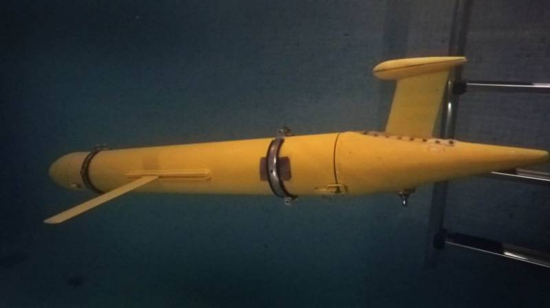 ВМФ РФ получит новый автономный подводный беспилотник