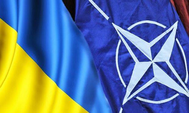 "Вопрос о вступлении Украины не стоит на повестке НАТО"