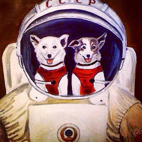 Задолго до Гагарина. Собаки-космонавты