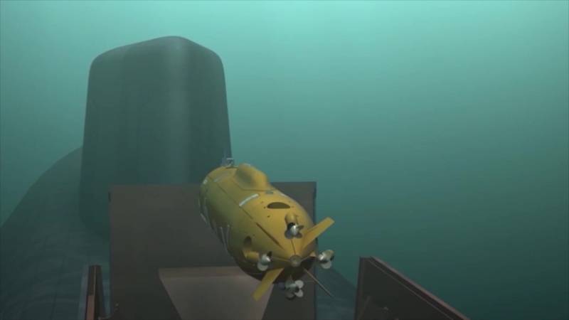 Две мегатонны. СМИ раскрыли характеристики подводного беспилотника