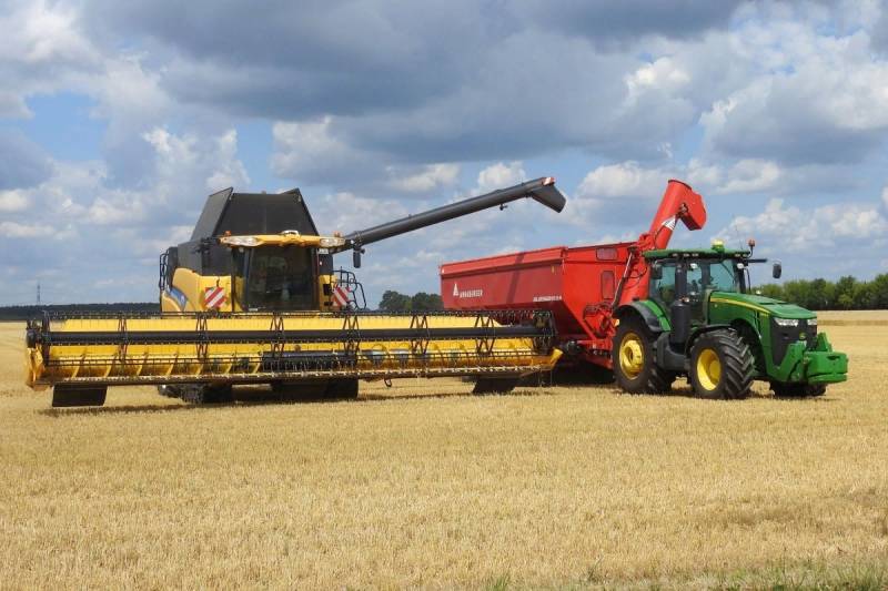 Белоруссия ещё на полгода продлила запрет на экспорт зерновых, несмотря на рекордный урожай