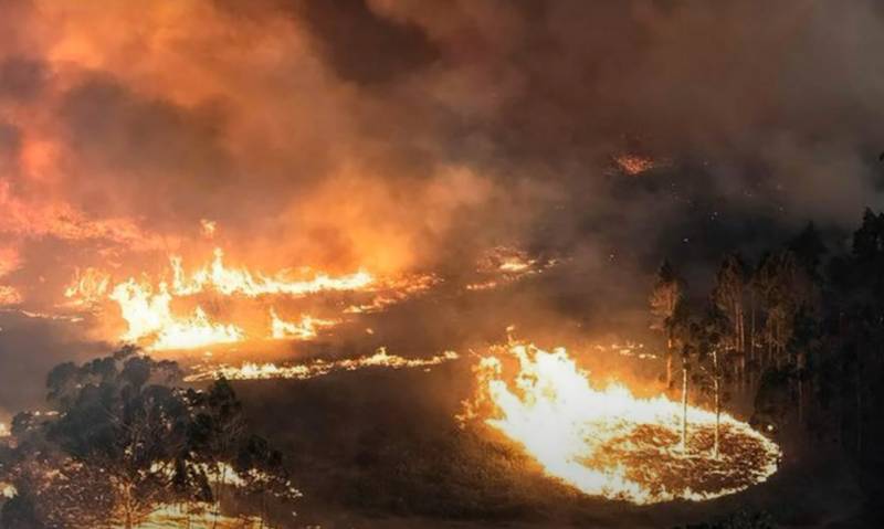 В Австралии идет расследование по делу о масштабных лесных пожарах в 2020 году, вызванных халатностью экипажа армейского вертолета