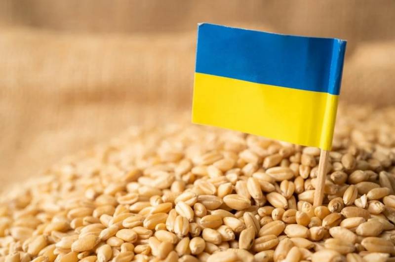 Украинский эксперт: Аграрное производство на Украине в 2023 году упадёт почти на треть