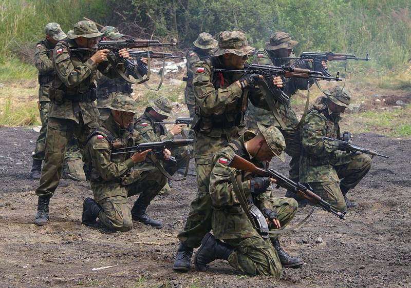 L'artillerie russe a détruit la position des mercenaires polonais des Forces armées ukrainiennes, sur lequel ils ont essayé de hisser le drapeau de la Pologne
