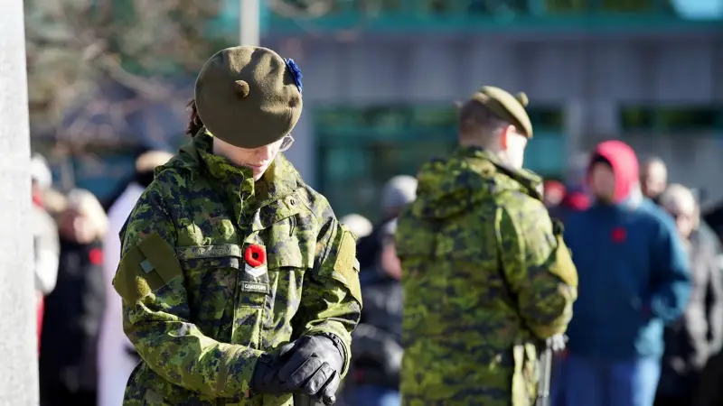 «Мы опустошили кладовку»: 加拿大国防部长承认因援助乌克兰而导致弹药和武器短缺