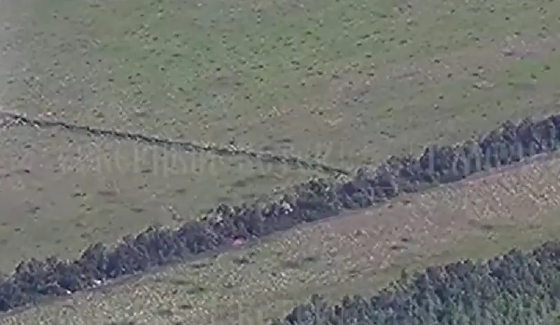 Aparecieron imágenes del ataque de las Fuerzas Aeroespaciales de Rusia con dos FAB y UMPC a posiciones de las Fuerzas Armadas de Ucrania en una zona forestal en la región de Jarkov