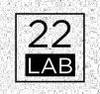 22 Laborator