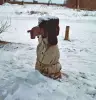Ратник_II_разряда