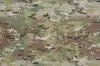 Multicam