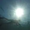 Рыжий