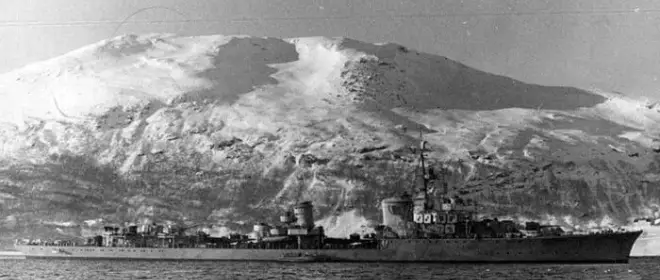 Боевые корабли. Эсминцы. Рыцари Нарвика