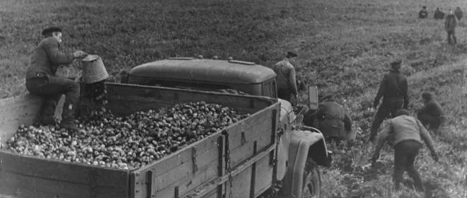 Целинная рота на Дальнем Востоке