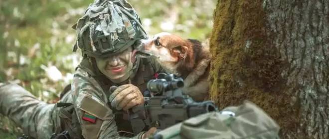 Литва готова направить на Украину свой военный контингент