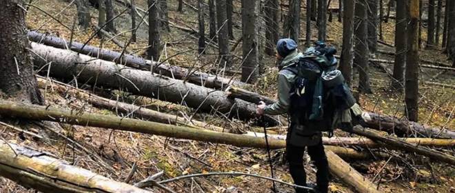 Белоруссия стала самым популярным направлением для побега мужчин с Украины