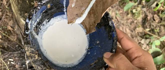 Синтетический каучук: как капиталисты душили друг друга