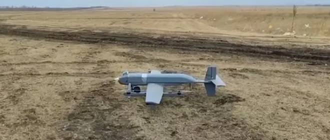 Transportator UAV de drone kamikaze „Bee”