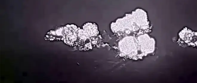 ВС РФ вышли к ключевым станциям на левом берегу реки Оскол в Харьковской области