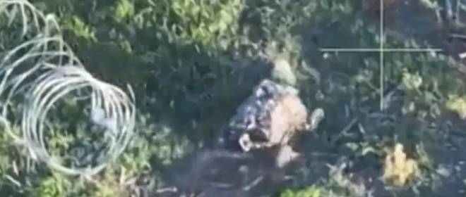 Opublikowano materiał filmowy przedstawiający zniszczenie fortyfikacji Sił Zbrojnych Ukrainy przez naziemny dron kamikaze „Scorpion-M”.