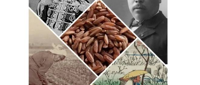 «Болезнь Эдо». Снятое проклятие армии и флота императорской Японии