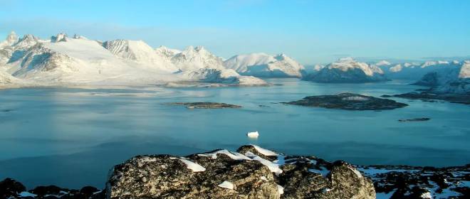 Скандинавские страны отвергают слова Трампа о «российской угрозе» в Гренландии