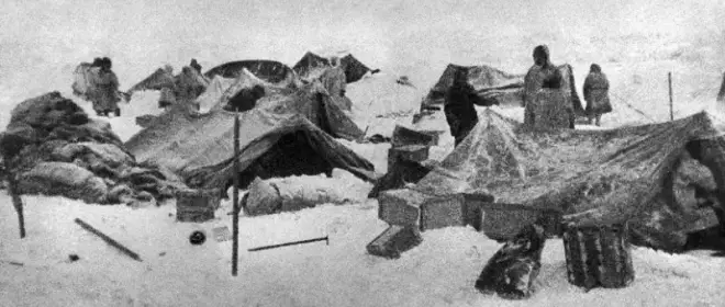 Как Россия пришла в Арктику: о легендарном подвиге «челюскинцев» и их спасении
