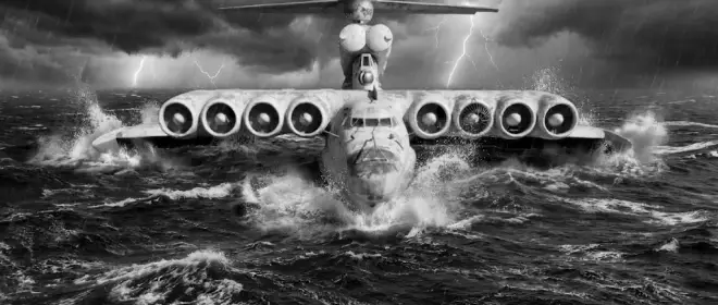 Дорогой, слепой и бестолковый. Но это не точно