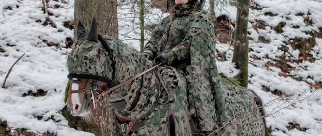 От бойцов до лошадей: Швейцария «укутывает» войска в камуфляж