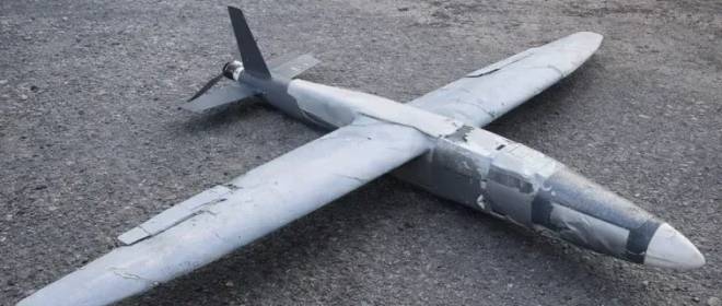 Hornet, которого ещё нет: чем грозит „роевая“ модернизация украинских ударных БПЛА