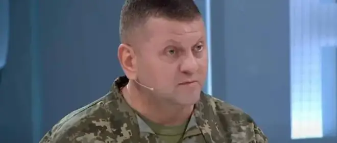 乌克兰武装部队前总司令扎卢日内被正式解除兵役
