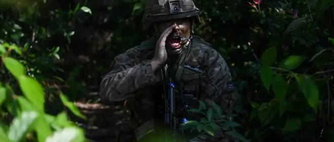 Английский юмор: Британия отправит на помощь Гренландии одного военнослужащего