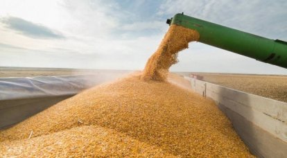 Еврокомиссия решила представлять Польшу, Венгрию и Словакию в зерновом споре в ВТО по иску Украины