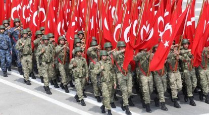 В Турции принята стратегия развития вооруженных сил